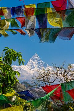 De Annapurna bij Pokhara in Nepal van Roland Brack