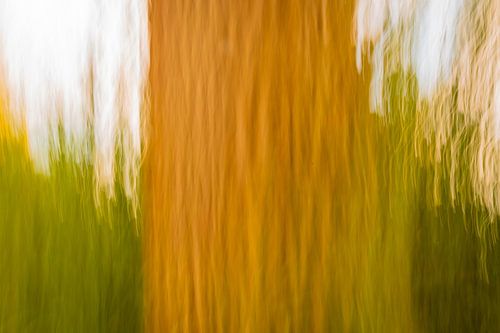 Abstracte fotografie