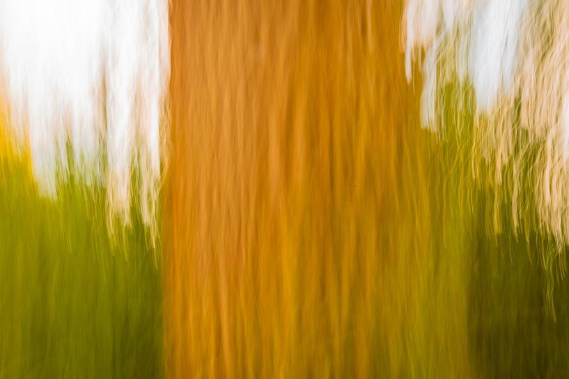 Photographie abstraite par Betty Verheij