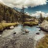 Bergbach in den italienischen Alpen - Lombardei von Dirk Wüstenhagen