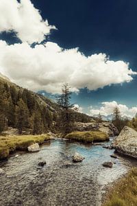 Bergbach in den italienischen Alpen - Lombardei