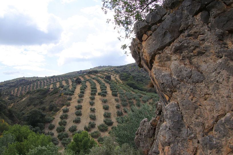 Landschaft in der Provinz Granada. von Jan Katuin