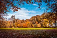 Kleurrijke Herfsttinten.