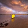 A buoy during low tide on the beach by Ellen van den Doel