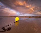 A buoy during low tide on the beach by Ellen van den Doel thumbnail