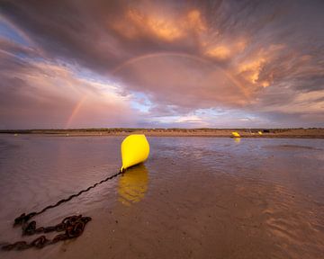 A buoy during low tide on the beach