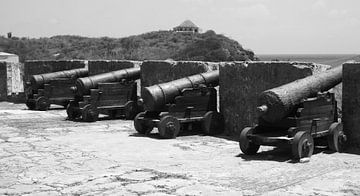 Kanonnen Fort Beekenburg, zwart-wit versie van Melissa vd Bosch