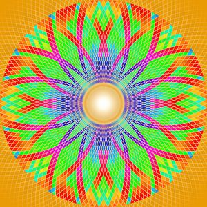 Regenbogenblume 2
