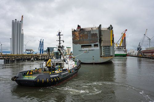 And Avant 25 with Fremantle Highway