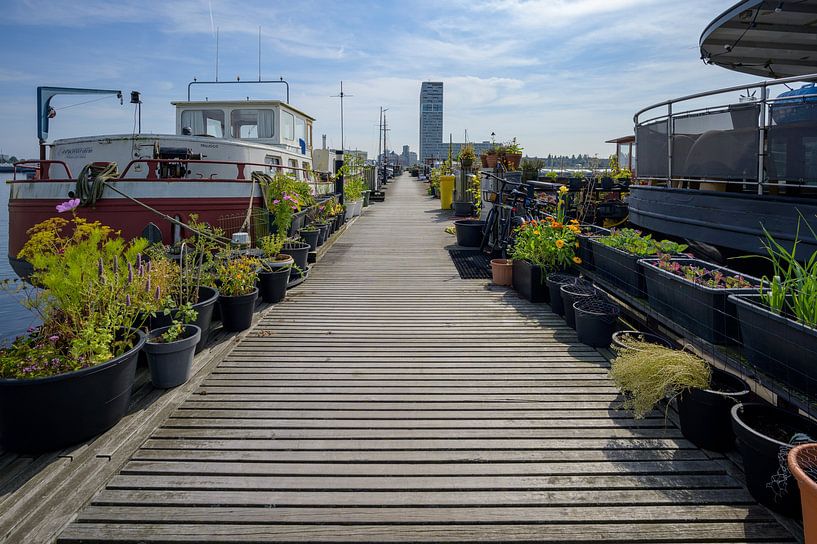 New Houthaven Amsterdam par Peter Bartelings