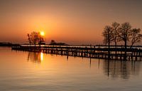 Jetty in the evening sun