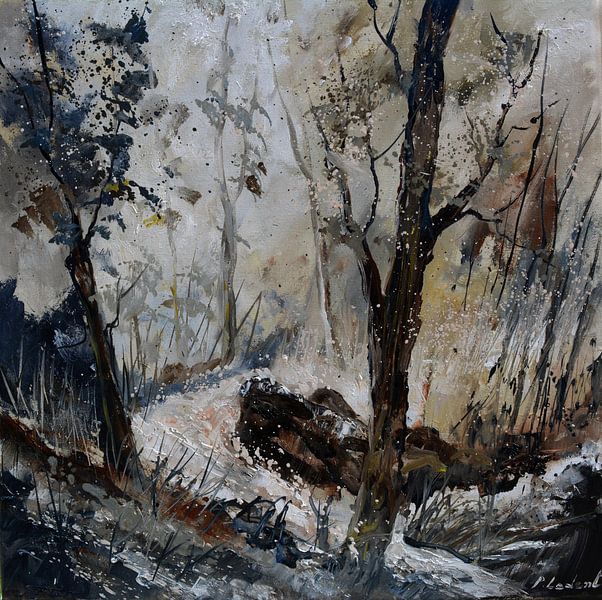 Rivier in de winter van pol ledent