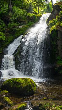 Magischer Wasserfall eines schönen Flusses, der über grüne moosbewachsene Felsen und Steine fließt, Naturlandschaft, magische Aussicht von adventure-photos