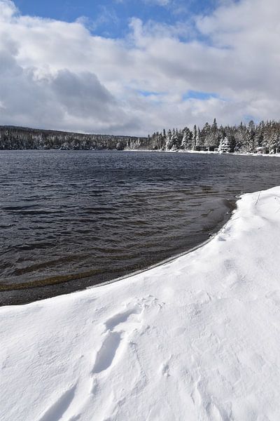The first snow on the lake in autumn by Claude Laprise