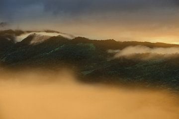 Sunrise in the rainforest of the Andes of Colombia by Catalina Morales Gonzalez
