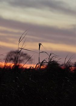 Sonnenuntergang
