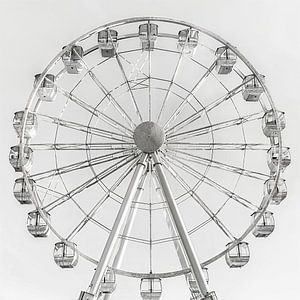 The Shiny Turn - The Merry Ferris Wheel at the Fairground