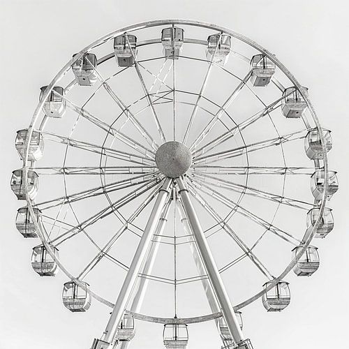 The Shiny Turn - The Merry Ferris Wheel at the Fairground