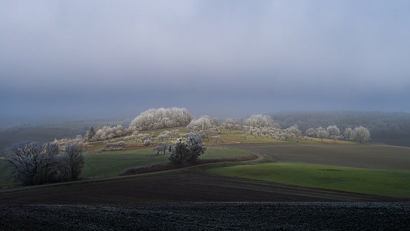 Winterfrost von Peter Groeneboom