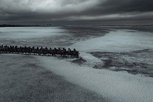 Lahnung im Winterwattenmeer