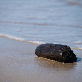 Stilleven aan zee. van Arjan van der Veer