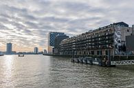 Wunderschönes Rotterdam, St. Jobshaven von Patrick Verhoef Miniaturansicht