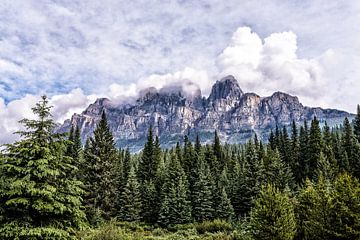 Castle Mountain ......