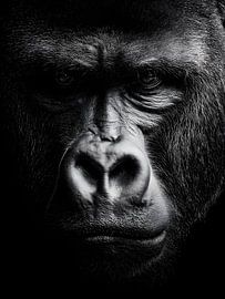 Gorilla - Original strength in black and white by drdigitaldesign
