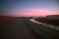 A cold spring morning (2)