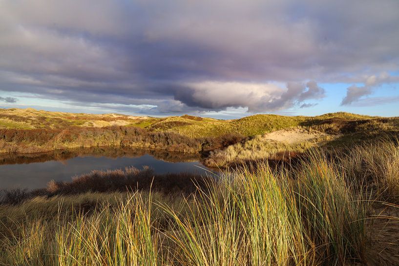 dune landscape by Marieke Funke