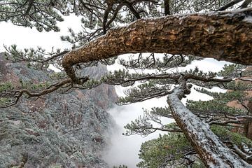 Mooie natuur in China : berglandschap in de sneeuw