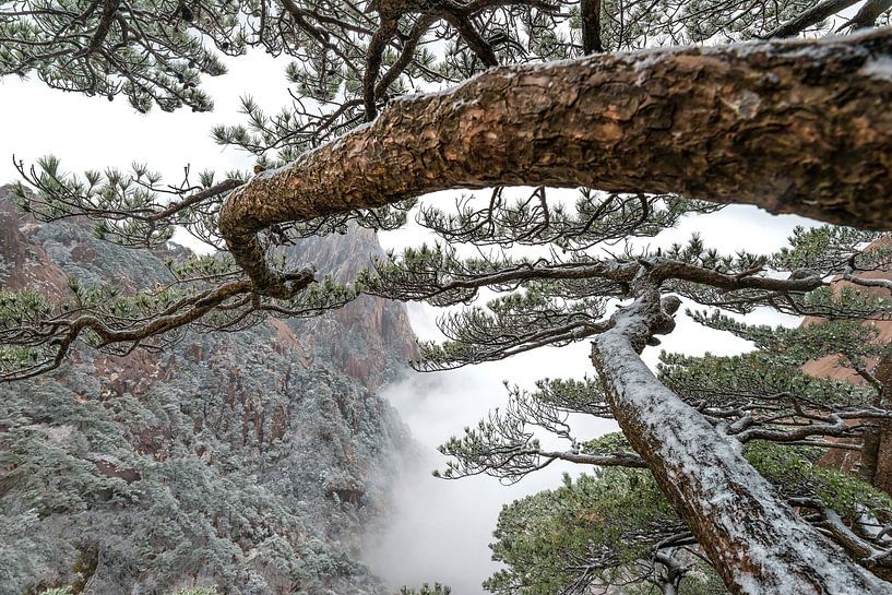 Mooie natuur in China : berglandschap in de sneeuw van Chihong