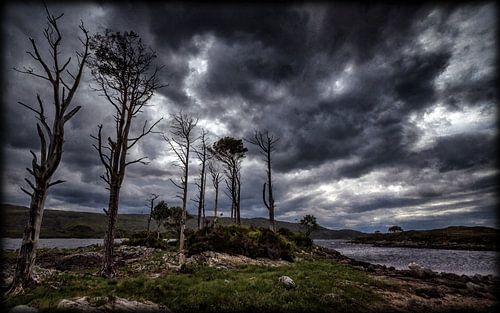 Black Storm