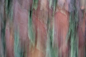 Abstract van schors van Douglas spar