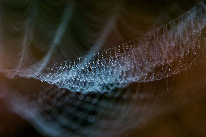 Pearl necklace by Danny Slijfer Natuurfotografie