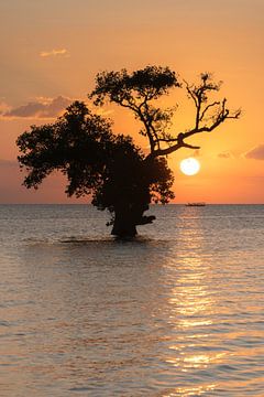 Sunset in Sumbawa by Anges van der Logt