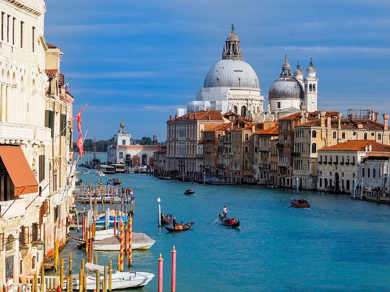 Venice by Hello Pompoyo