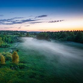 Black Moor by Andre Michaelis