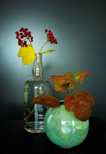Stimmungsvolles Stillleben mit Vasen, Herbstblättern und Beeren vor einem dunklen Hintergrund