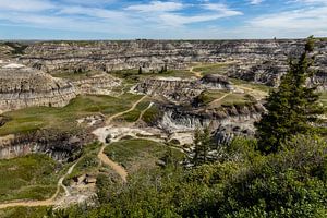 Der Horseshoe Canyon in Kanada