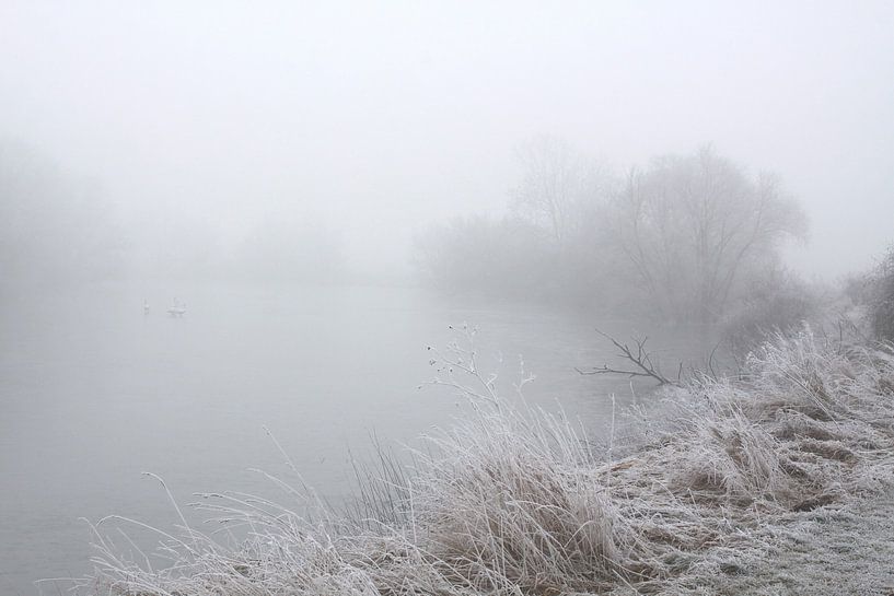 On the Saale in fog and blight by Karina Gebert