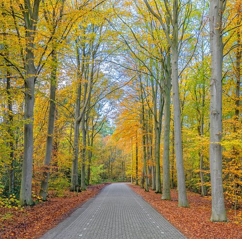 Herfst op Texel.