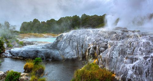Te Puia thermaal park