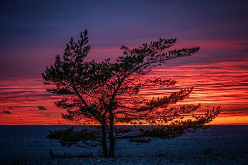 Soirée rouge au bord de la mer