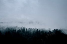 Mist