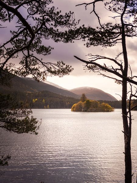 Loch an Eilein, Aviemore, Écosse par Pascal Raymond Dorland