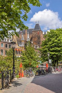 Oudegracht aan de Werf in Utrecht van Melanie Viola