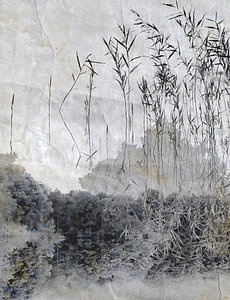 Into Nature #03
