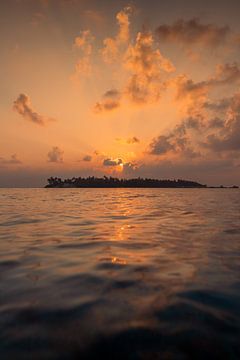 Malediven 7 von Andy Troy