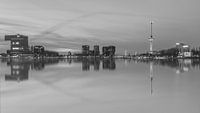 Rotterdam skyline with euromast van Ilya Korzelius thumbnail
